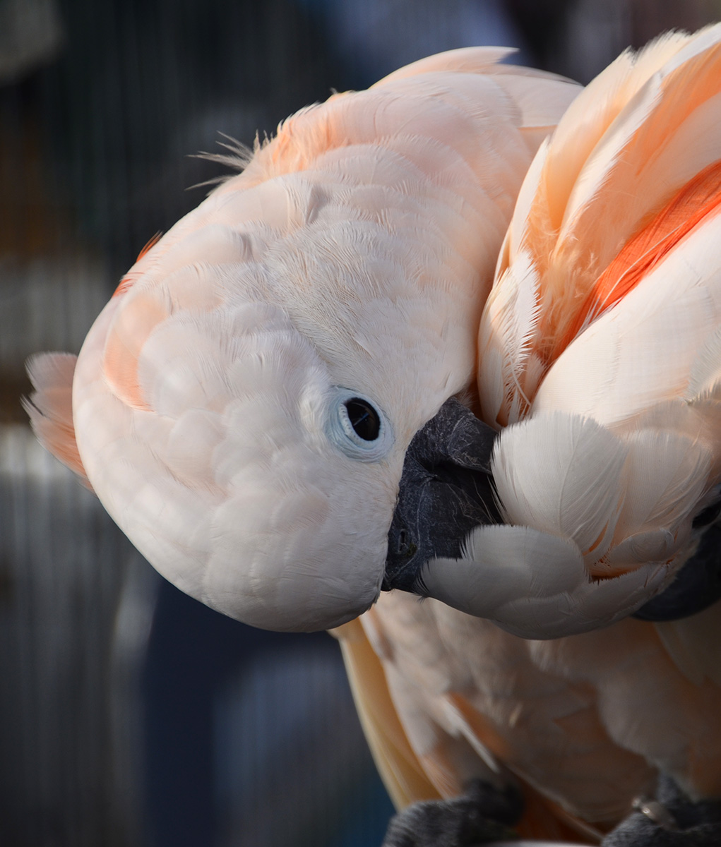 En route to Proxima&nbsp;Centauri