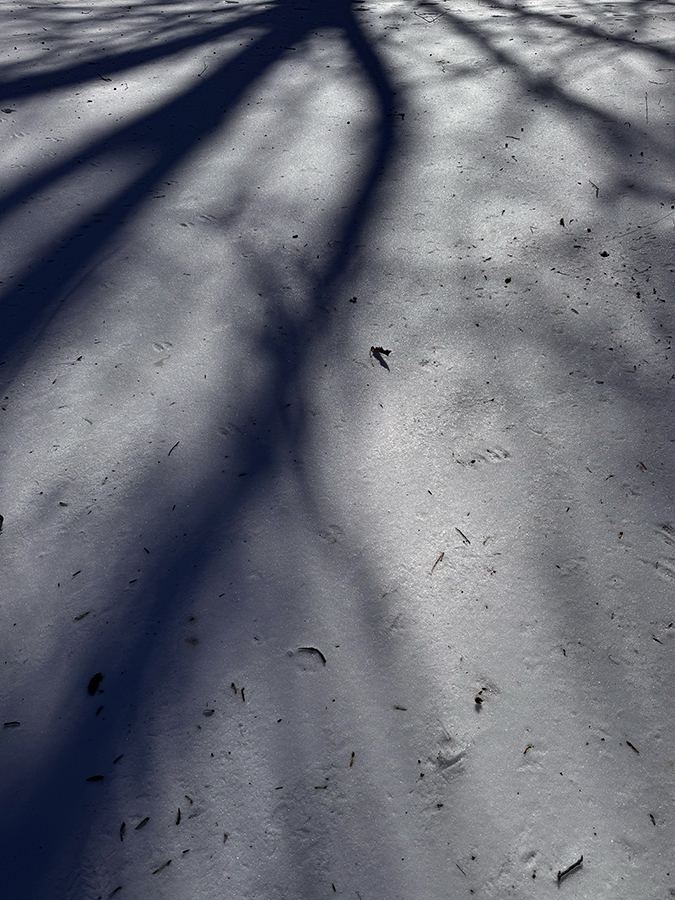 Permafrost